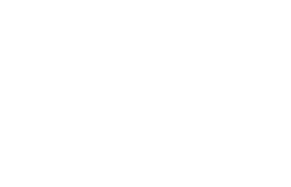 OPTIMA SERVICES SL